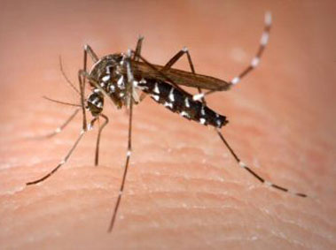 7 Most Underrated Health Hazards in China
