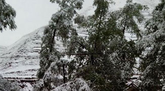 Freak Summertime Snowfall Hits Gansu