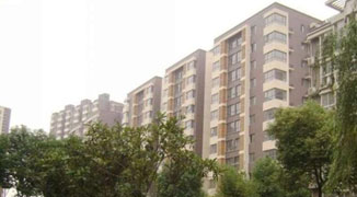 Frenchman Has Concrete Jungle Nightmare on First Day in Nanjing