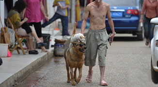 Here’s a Cat Riding a Dog with Shades and a Smart Phone in Kunming