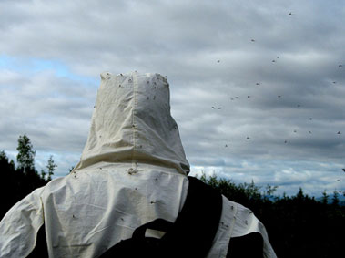 The Fight against Bite: Tips for Staying Mosquito-Free in China This Summer