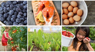 FIELDS Online Supermarket: Serving Suzhou Expats via Click of a Mouse