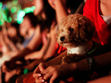 Is There a Growing Sentiment Towards Animal Welfare in China?