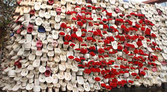 Guangzhou Art Professor Fills Toilets with 6000 Roses to Declare his Love