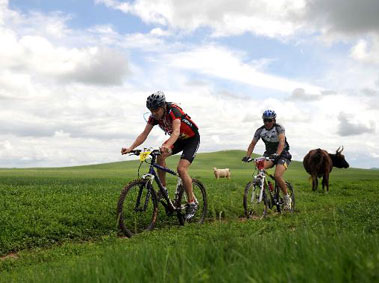 From Flying Pigeons to Phoenixes: Practical Biking Tips in China