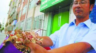 Gansu Pensioner’s Life Savings Eaten by a Sheep