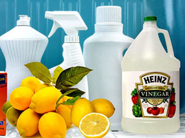 Do-It-Yourself Solutions for Common Apartment Problems (Part 1)