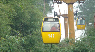 The Rail-y Pink Line: Activities along Chongqing’s Line 6