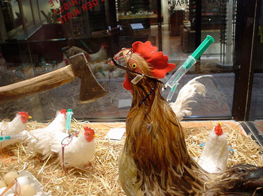 Fly the Coop: Understanding H7N9 Bird Flu