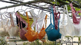 Creepy Serial Underwear Thief Caught Red Handed: Says He Can’t Control Himself