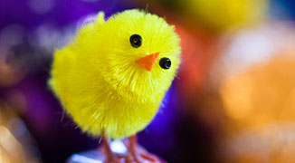 The Hunt is On: Easter Activities in and around Shenzhen