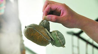 Chongqing: Factory Workers Create Device to Steal Gold, Steal 8 Kilograms of Gold in One Year