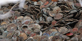 Jiangsu Men Jailed for Collecting Ten Tons of Coins for Foreign Money Forgery