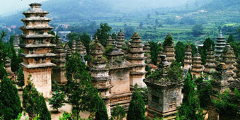 Shaolin Temple Sues Government for Nearly 50 million RMB