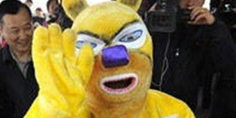Bear Collects 525 Million RMB Jackpot