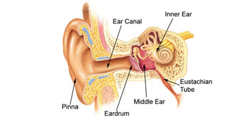 Woman Slaps Doctor, Force Perforates His Ear Drum