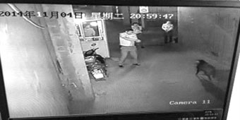 Fuqing Police Shoots at Wild Boar, Accidentally Hits Woman