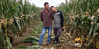 Gay Couple in Hebei Village Survive Exorcisms and Arranged Marriages