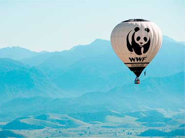 New Regulations for Foreign NGOs in China Could Lead to Exodus