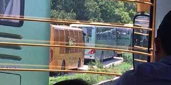“Jurassic Park”: 400 Tourists Trapped in Shanghai Wild Animal Enclosure 