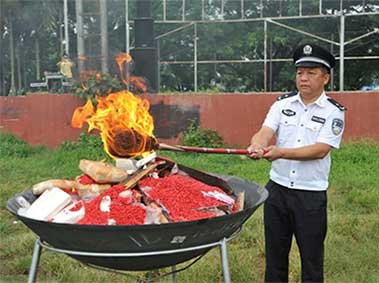China's Latest Fix: Trending Drug-Related Stories 