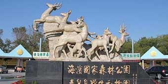 Tourist Killed By Tiger at Qinhuangdao Wildlife Park