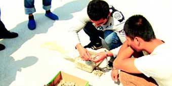 3 Men Detained in Shandong for Catching Wild Geckos