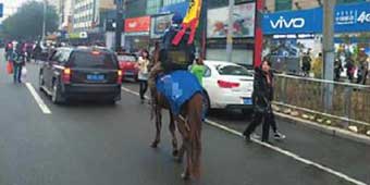 Following Scooter Ban, Hohhot Couriers Delivery Packages on Horseback