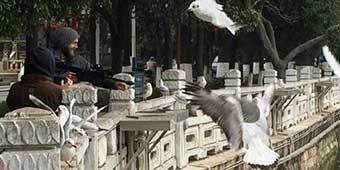 Kunming Locals Call Police on Foreigners Pretending to Shoot Birds 