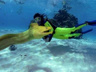 Take the Plunge: Everything You Need to Know about Scuba Diving in China