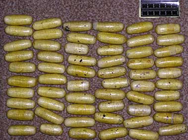 Nigerian Sentenced to Life in Chinese Prison for Smuggling Cocaine in Beijing