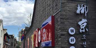 13 North Koreans Working in China Defect to South Korea 