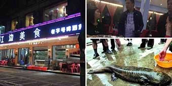 Tourist Charged 5,000 Yuan for Fish in Guilin Restaurant