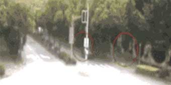 Police Investigate Rumored Kidnapping of International School Student in Shanghai 