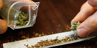 Malaysian and Chinese Men Jailed and Deported for Growing Marijuana Outside Beijing 