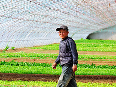 China’s Workforce is Aging: How Can an Economic Decline Be Prevented?