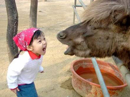 What Did You Just Call Me? Tips on Understanding Chinese Insults