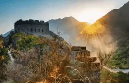 10 GIFs That Tell You Everything You Need To Know About Moving to China