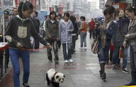 The Western Influence on China: The Good, The Bad and The Ugly