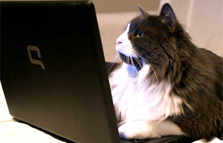 6 China News Websites That Don’t Require A VPN