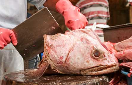 Chinese Man Gets Free Fish Head for Life After Sinking Car Rescue