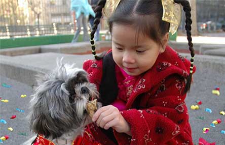 China’s Horoscope for the Year of the Dog