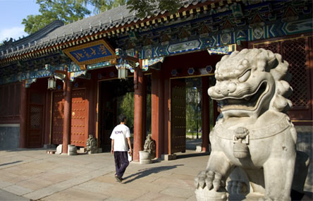 The Weird and Wonderful World of Universities in China