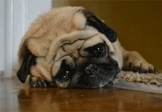 5 Tips for Getting Over Your Down Days in China