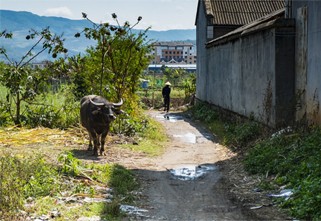 An Expat’s Search for ‘Real China’